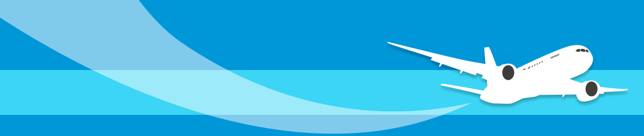 Russian Low-Cost Airline — Booking Service Usability Analysis